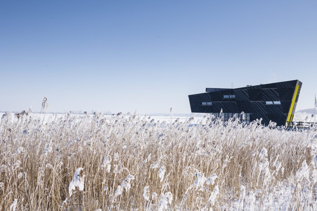 Winterdeel_De_Oostvaarders_2011_JVE_120204_4593