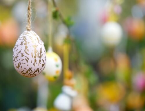 PAASBRUNCH: PROEF HET VOORJAAR